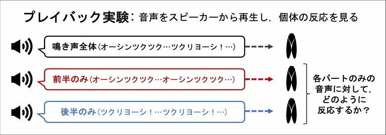実験の概念図【(C)Takeru KODAMA】