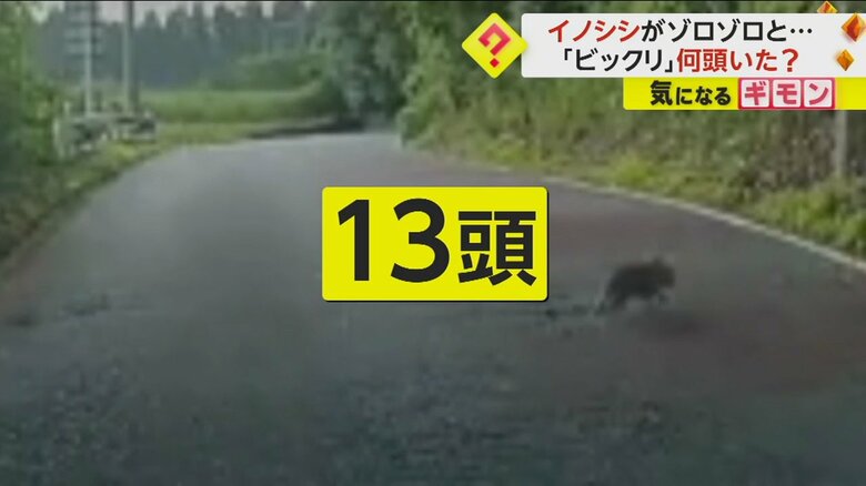 （FNN投稿サイト「ビデオPost」）