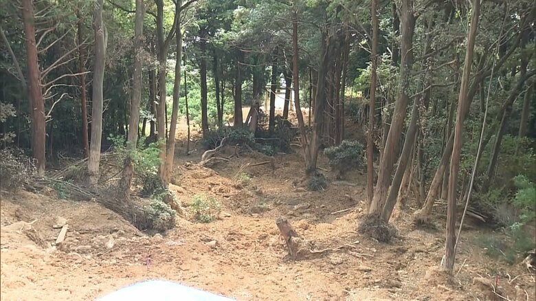 崩落した境内から鳥居を望む