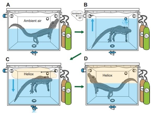 2015年発表の論文より抜粋