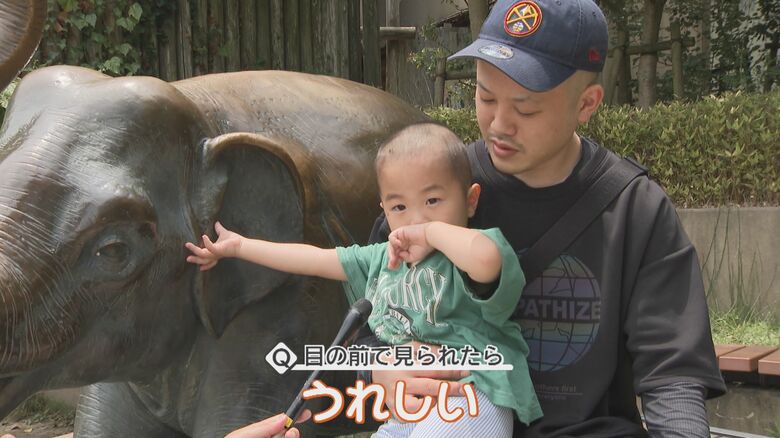 ゾウの飼育復活の知らせに喜ぶ親子
