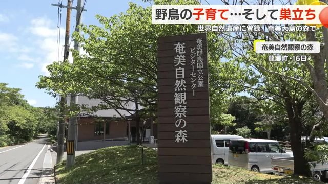 奄美大島の北部、龍郷町にある「奄美自然観察の森」