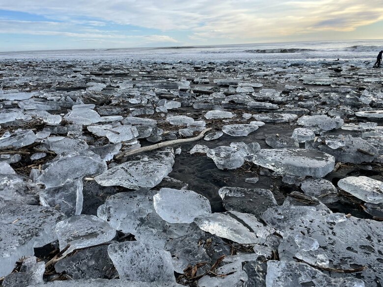 海岸の様子（提供：りなさん）