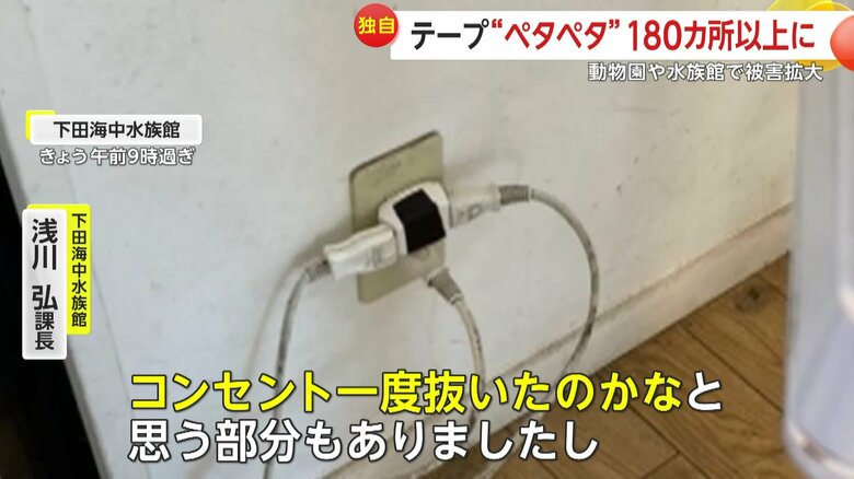 「コンセント一度抜いたのかなと思う貼り方の部分もありました」と話す下田海中水族館の浅川弘課長