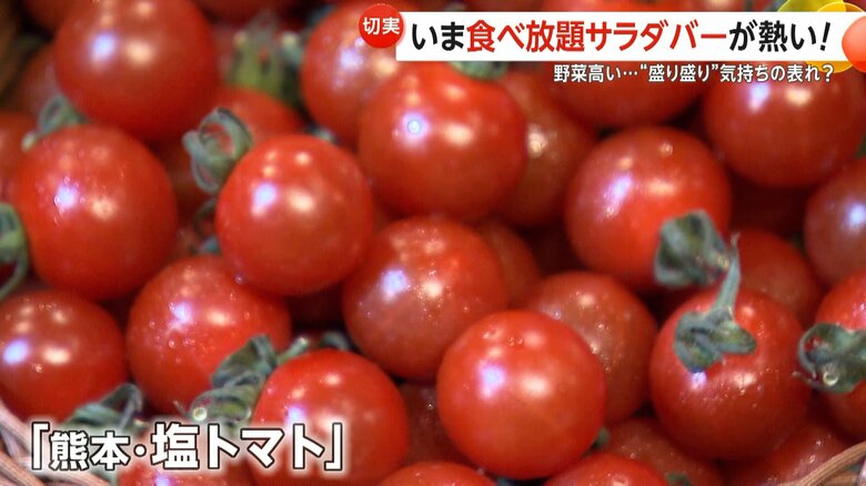 高級フルーツトマトとして人気の高い「熊本・塩トマト」