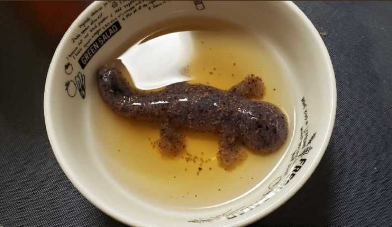 「オオサンショウウオ」がまるごと一匹!? 地元の高校生が作ったアイデア食品が“キモかわいい”