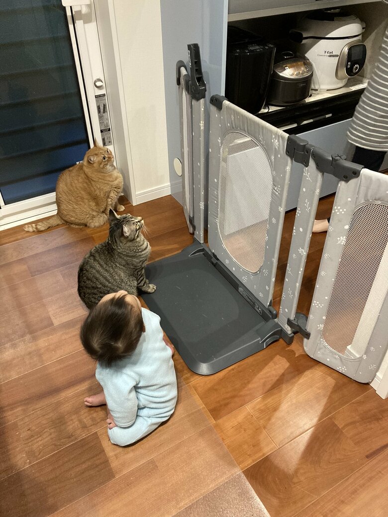 朝ご飯を待つ様子（提供：かぎしっぽすず&つむぎさん）