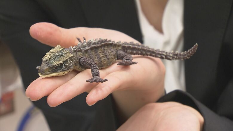 精巧に作られた爬虫類のおもちゃ