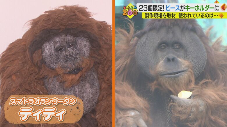 スマトラオランウータンの「ディディ」そのもの！