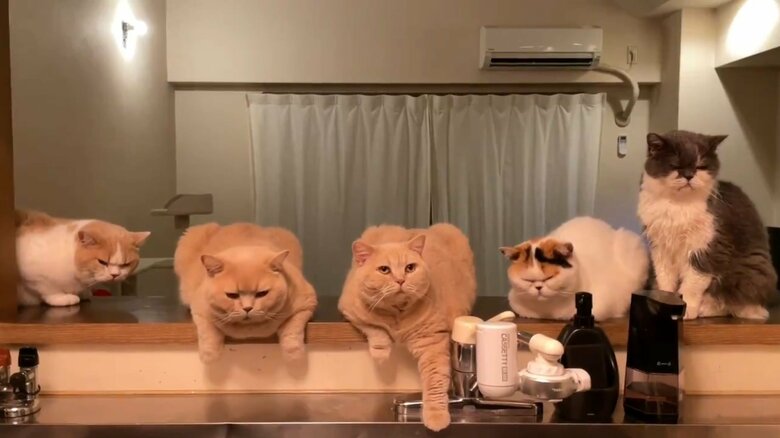 (左から)てんぷらくん、ぽてとくん、みかんちゃん、あんみつちゃん、じろうさん