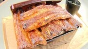 900円の「うな丼」に歓喜の声…ウナギが「土用の丑の日」前に異例の安値　記録的な豊漁　売り場拡大の鮮魚店も
