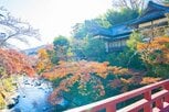 “買って住みたい街”トップ3から初めて都心消える…1位「湯河原」2位「八王子」　物件高騰で郊外人気に【トップ100全掲載】