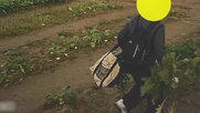野菜泥棒に業を煮やし農家が張り込み…盗みを認めるも「謝る気ない」 開き直り男との驚きのやり取り