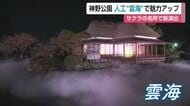 「夢の世界でした」桜の名所 神野公園に人工雲海が出現 県内初の幻想的な夜間演出スタート【佐賀県】