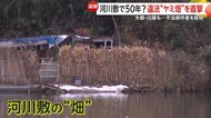 【ヤミ畑】大根に白菜…河川敷に“やりたい放題”の不法耕作「元気やからやめられへん」84歳男性の身勝手な言い分とは　大阪・淀川