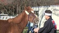 子馬「鈴晴」チャグチャグ馬コ同好会に譲渡　伝統行事の継承へ　岩手県滝沢市