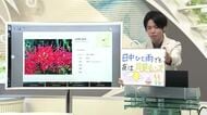 【エンドトーク】「日中ひと雨でも夜は月見チャンス」25日のポイント＆きょうの1枚　山形
