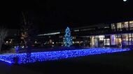 敦賀駅西口の芝生広場　クリスマスのイルミネーションで華やかに彩る