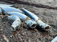 【大群！イワシが襲来】年末に出荷する予定だった大量の養殖ウニ死滅…養殖トラウトサーモン6600匹が全滅した漁港で_イワシの大群が押し寄せて海中の酸素濃度が低下〈北海道せたな町〉