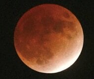 赤銅色に輝く月を捉えよ！140年ぶり「ほぼ皆既月食」…報道カメラマンはこうやって撮影しました【撮影後記】