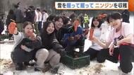約1mの雪を掘って掘って“ニンジン”収穫！「イメージ以上に肉体使う」豪雪地・津南町で雪下にんじん掘り競争