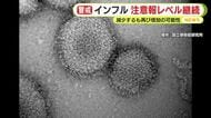 静岡県内のインフルエンザ患者数　減少するも再び増加の可能性　県は注意報レベルを維持　
