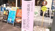 さくらひめの試飲イベントが道後温泉周辺で開催　多くの人でにぎわう【愛媛】