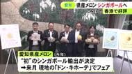 糖度14度と甘く…去年香港で好評だった愛知県産のメロン 今年は初めてシンガポールに輸出へ 現地のドンキで7月にフェア