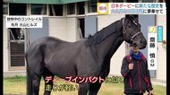 大山から頂点 ディープ以来無敗の2冠馬へ! コントレイル夢与える走りを(鳥取)