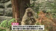 高崎山でサルの生息数調査が始まる 適正数の再検討も 大分