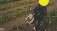 野菜泥棒に業を煮やし農家が張り込み…盗みを認めるも「謝る気ない」 開き直り男との驚きのやり取り