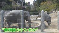動物界この1年  7年ぶりに登場  上履き窃盗犯は？  ハイキング中に遭遇  水族館に新たな仲間 【福岡発】