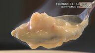 「私の命」83歳のシェフが「狸」の魂受け継ぐ！自慢のクリーム料理”コキール”【石川発】