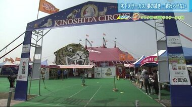 苦境の「木下大サーカス」を救ったクラウドファンディングと