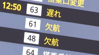 航空管制システム障害　全国で航空便出発できず　JALとANAで欠航相次ぐ　国交省原因調べ…
