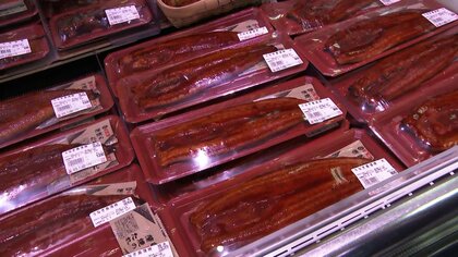 春も「丑の日」ウナギがお得　去年の豊漁受け2割以上値下がり