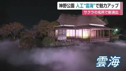 「夢の世界でした」桜の名所 神野公園に人工雲海が出現 県内初の幻想的な夜間演出スタート【佐賀県】