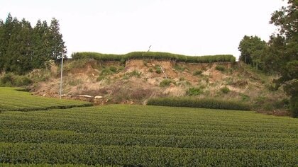 土砂災害から1年半余り…今も復旧手つかずの茶畑 “業者の順番待ち”に「どうにもできない」農家の現状【佐賀発】
