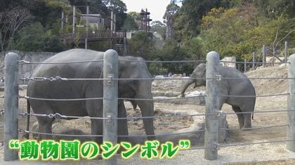 動物界この1年  7年ぶりに登場  上履き窃盗犯は？  ハイキング中に遭遇  水族館に新たな仲間 【福岡発】