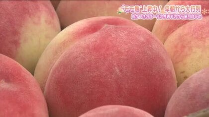 福島の桃「あかつき」シーズン到来！　道の駅では大行列　キングカズも初収穫で“固い桃”に挑戦