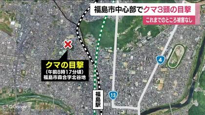 福島市の中心部でクマ目撃　道路上にいる3頭の熊　被害はなし　警察などが警戒続ける