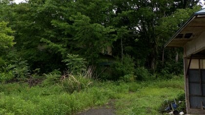 「こんなに怖いの初めて」サル10匹が女性襲撃　帰宅中に抱えたお菓子の袋に飛びかかる　宮城