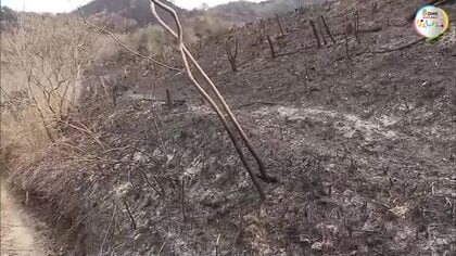 岡山市南区の大規模山林火災は１１日にも「鎮火判断」へ　４日を最後に新たな熱源見つからず【岡山】