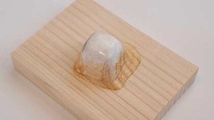 “溶けかけの氷”を再現した木彫りがリアル…納豆や菓子までも？他の作品もすごかった
