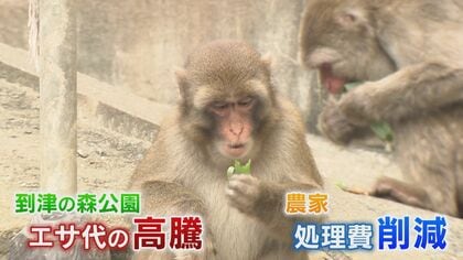 「動物たちの命の糧に」 規格外野菜を廃棄せずに有効利用　運送会社の協力で実現　動物園のエサ代圧迫と農家の処理費削減 【福岡発】