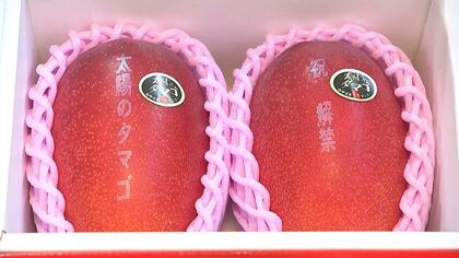 マンゴー食べてにっこり」2025年の『太陽のタマゴ』は甘い！ みやざき