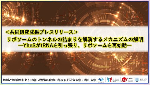 リボソームのトンネルの詰まりを解消するメカニズムの解明 ――YheSがtRNAを引っ張り、リボソームを再始動――〔東京大学, 東京科学大学, 岡山大学, 科学技術振興機構〕