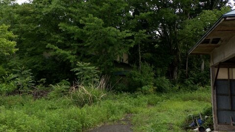 「こんなに怖いの初めて」サル10匹が女性襲撃　帰宅中に抱えたお菓子の袋に飛びかかる　宮城