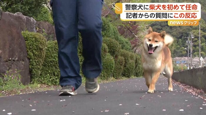 指導手に寄り添って歩くつぶ
