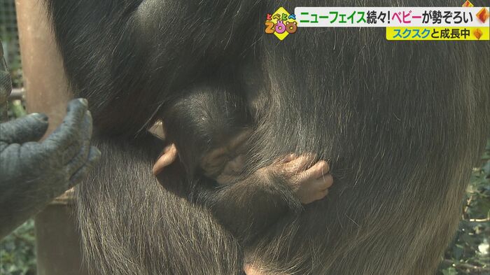 息子の「スカイ」を溺愛するお母さんの「スズミ」